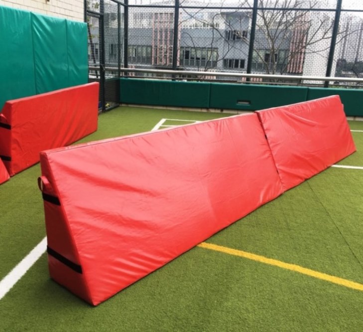 Rugby Protector Barrier